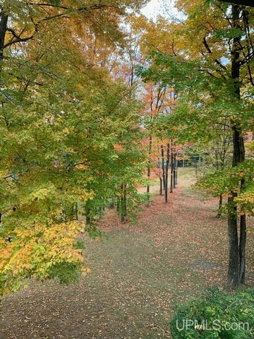 4318 K Road, Bark River, MI 49807