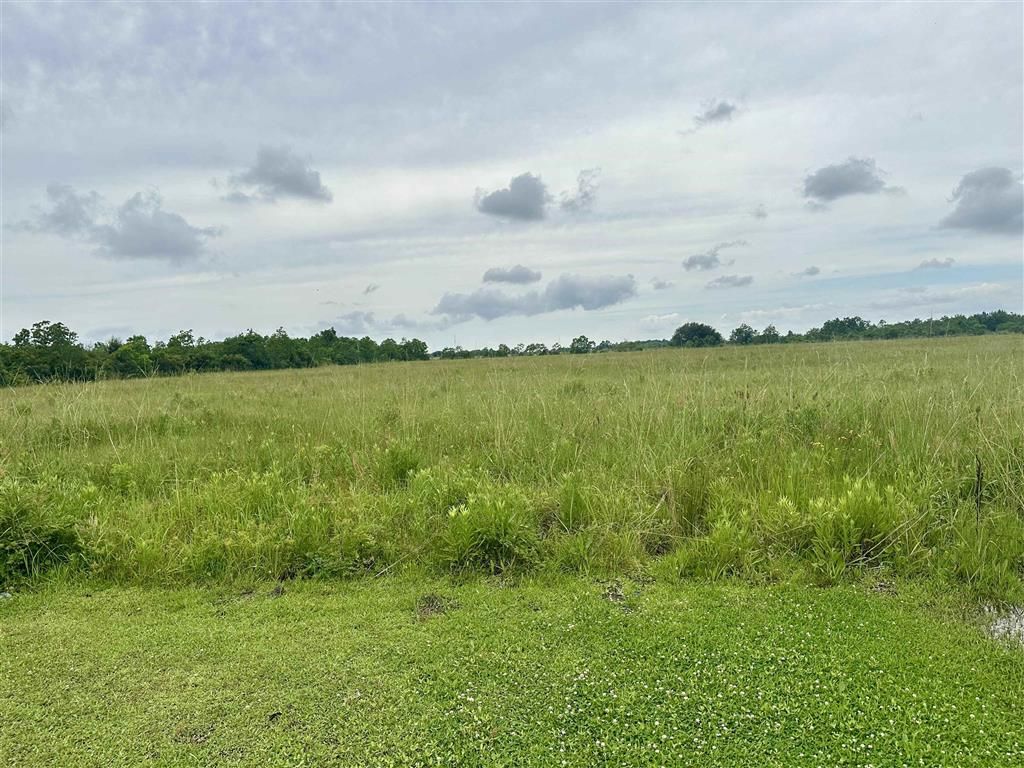 0 Carlile Lane, Lake Charles, LA 70607