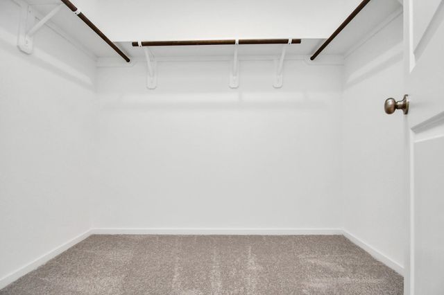 18602 Cepagatti Drive, New Caney, TX 77357