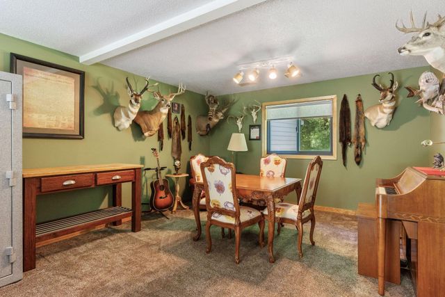22017 Quincy Street NE, Cedar, MN 55011