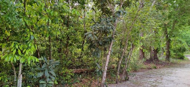 MARJORIE BOULEVARD, Longwood, FL 32750