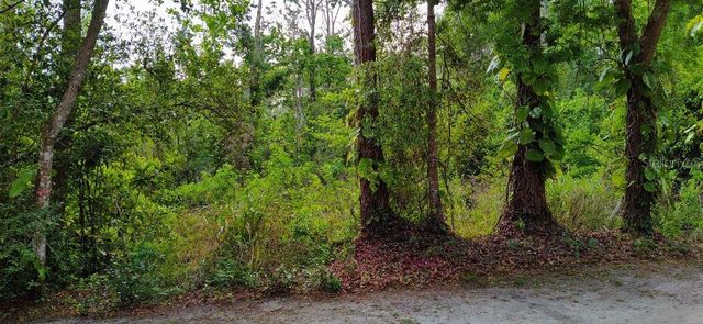 MARJORIE BOULEVARD, Longwood, FL 32750