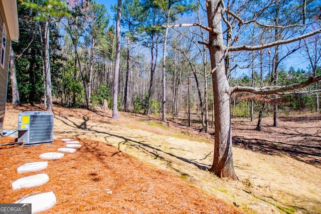 4221 N Hwy 100, Waco, GA 30182