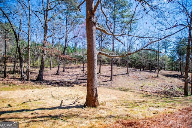 4221 N Hwy 100, Waco, GA 30182