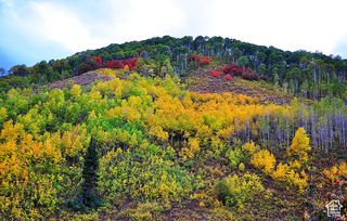 MIDDLE FORK / PINE CANYON RD RD, Huntsville, UT 84317