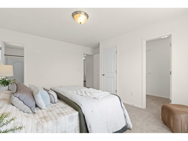 843 Sunlight Peak Dr, Severance, CO 80550