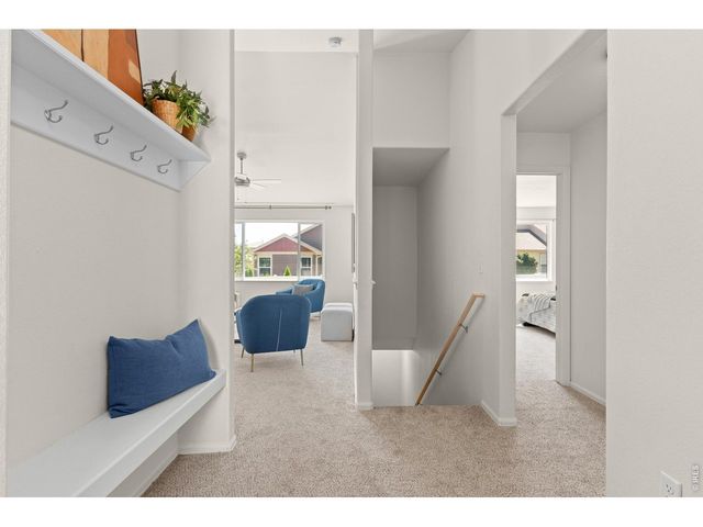 843 Sunlight Peak Dr, Severance, CO 80550