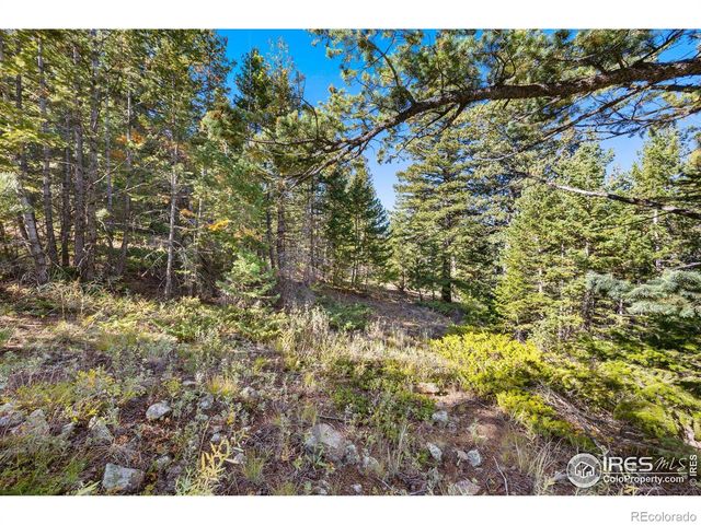 323 Roxbury Drive, Boulder, CO 80302