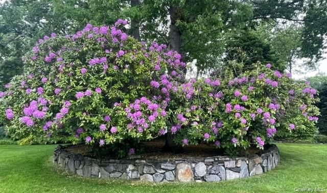 9 Alpine Place, Lake Grove, NY 11755