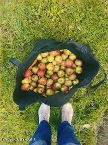 4031 Romanzof Circle, Anchorage, AK 99517