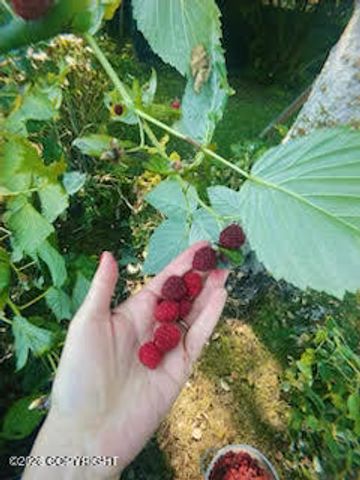 4031 Romanzof Circle, Anchorage, AK 99517