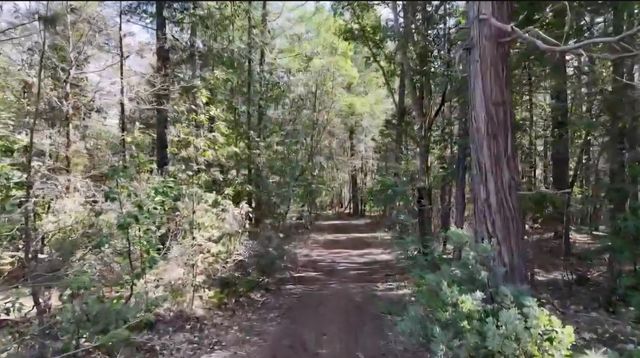 0 Westside Road, Cave Junction, OR 97523