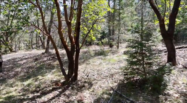 0 Westside Road, Cave Junction, OR 97523