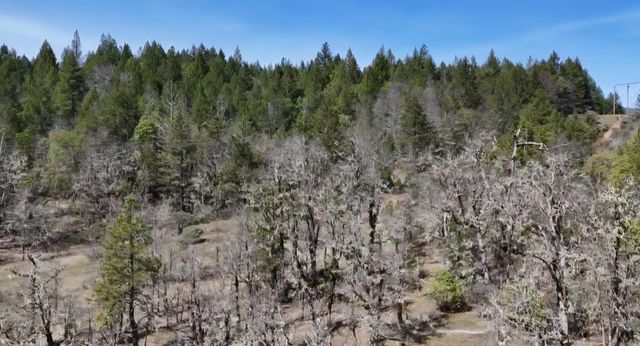 0 Westside Road, Cave Junction, OR 97523