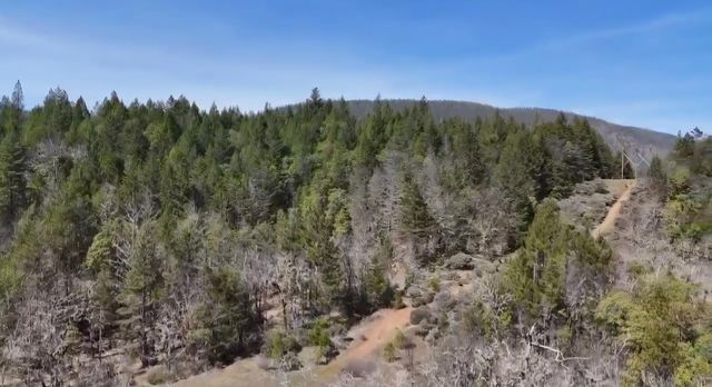 0 Westside Road, Cave Junction, OR 97523
