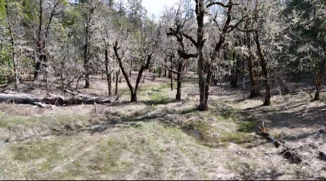0 Westside Road, Cave Junction, OR 97523