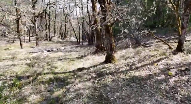 0 Westside Road, Cave Junction, OR 97523