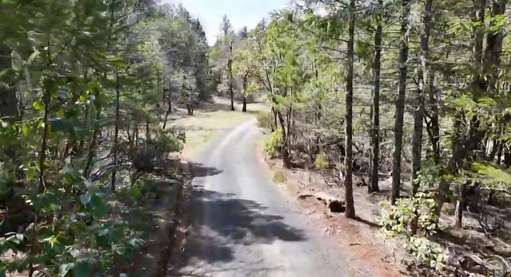 0 Westside Road, Cave Junction, OR 97523