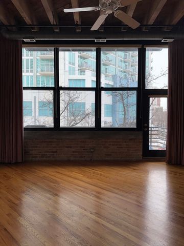 1601 S Indiana Avenue 207, Chicago, IL 60616