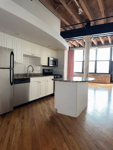 1601 S Indiana Avenue 207, Chicago, IL 60616