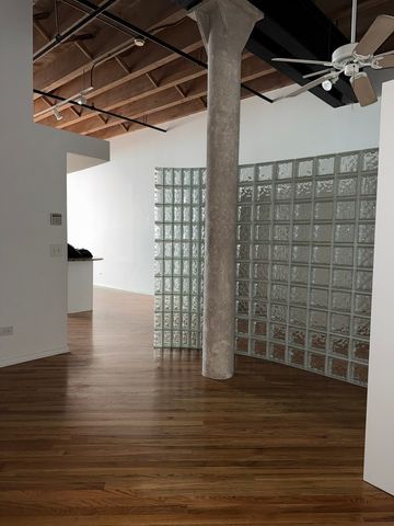 1601 S Indiana Avenue 207, Chicago, IL 60616