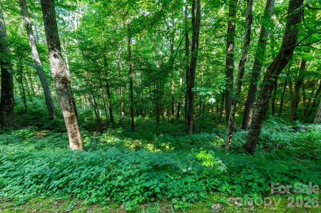 Lot 25 Finlaystone Trace 25, Waynesville, NC 28786