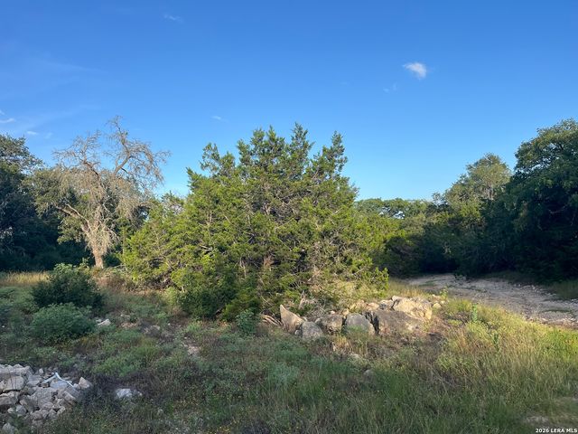 1615 Forest Lake, Spring Branch, TX 78070