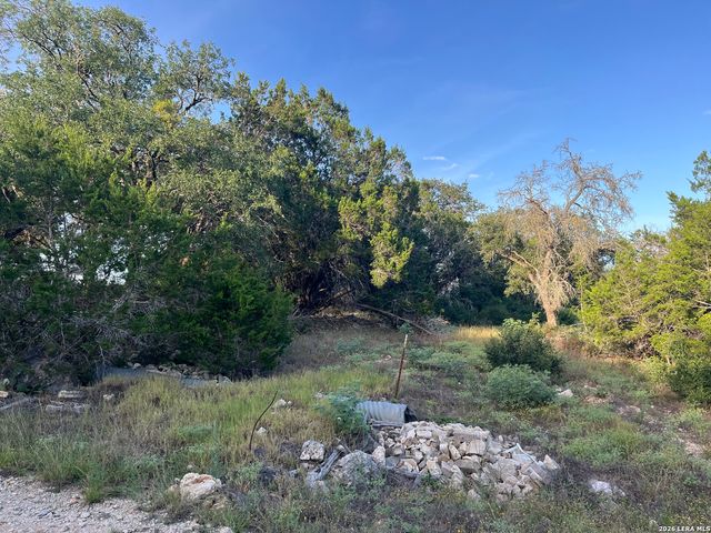 1615 Forest Lake, Spring Branch, TX 78070