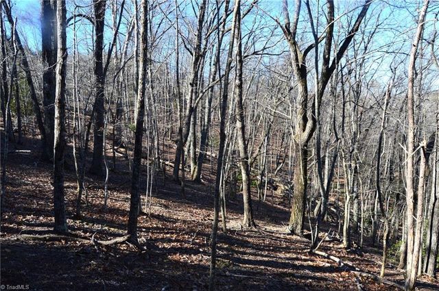 118 acres - Hanging Rock Park Road, Danbury, NC 27016