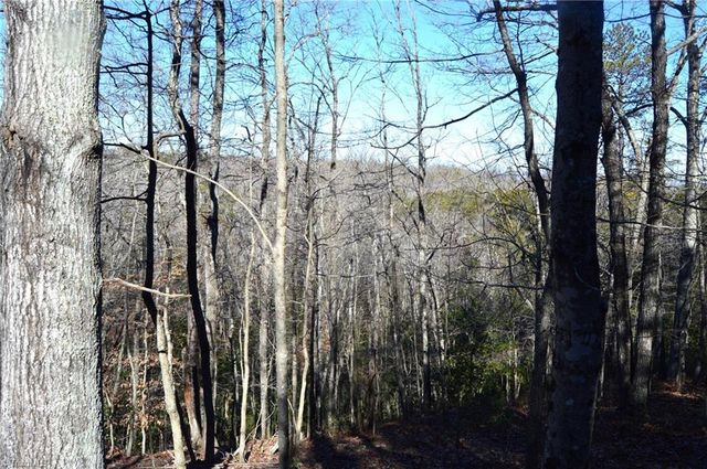 118 acres - Hanging Rock Park Road, Danbury, NC 27016