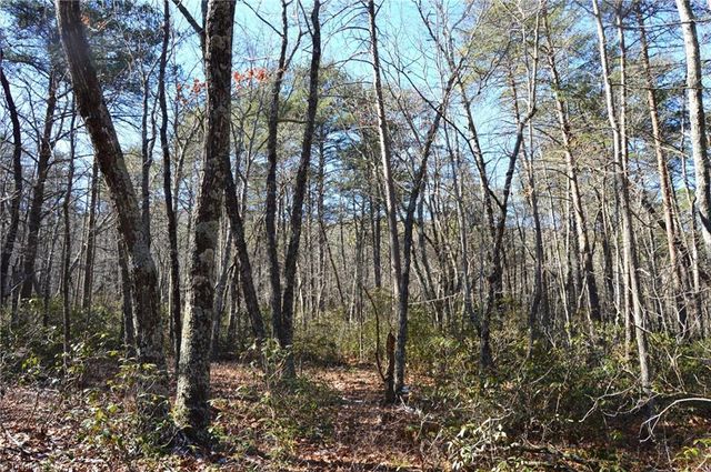 118 acres - Hanging Rock Park Road, Danbury, NC 27016