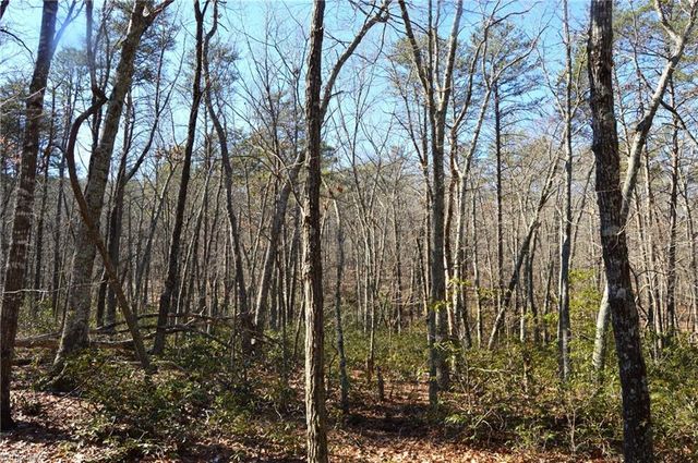 118 acres - Hanging Rock Park Road, Danbury, NC 27016