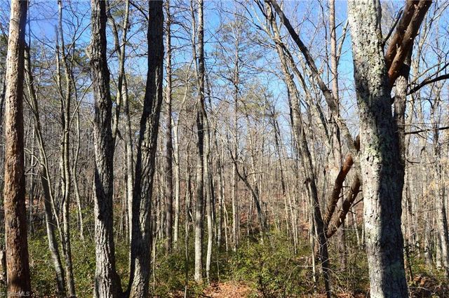 118 acres - Hanging Rock Park Road, Danbury, NC 27016