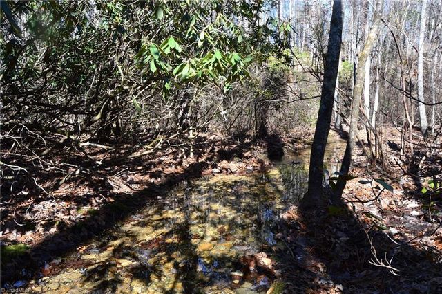 118 acres - Hanging Rock Park Road, Danbury, NC 27016