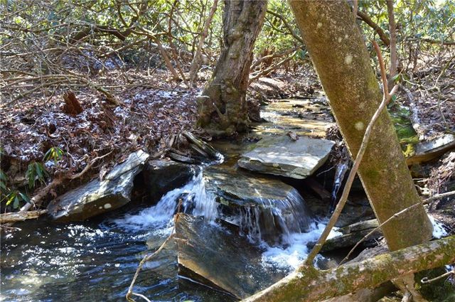 118 acres - Hanging Rock Park Road, Danbury, NC 27016