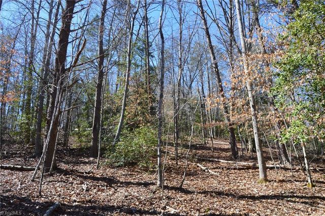 118 acres - Hanging Rock Park Road, Danbury, NC 27016