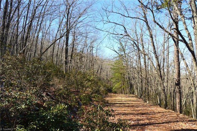 118 acres - Hanging Rock Park Road, Danbury, NC 27016