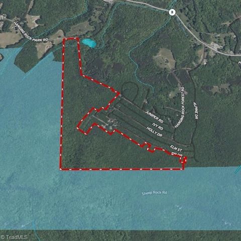 118 acres - Hanging Rock Park Road, Danbury, NC 27016