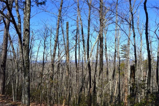 118 acres - Hanging Rock Park Road, Danbury, NC 27016