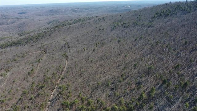 118 acres - Hanging Rock Park Road, Danbury, NC 27016