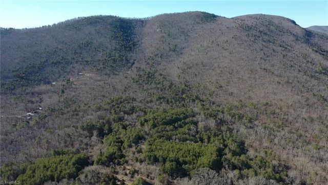 118 acres - Hanging Rock Park Road, Danbury, NC 27016