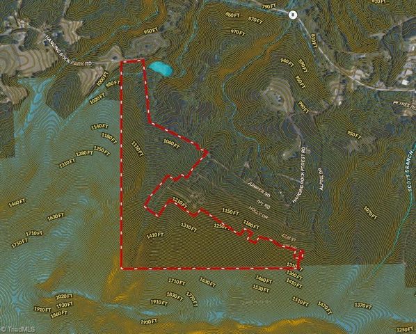 118 acres - Hanging Rock Park Road, Danbury, NC 27016