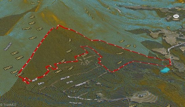 118 acres - Hanging Rock Park Road, Danbury, NC 27016