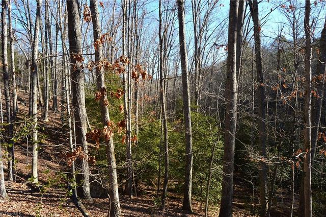 118 acres - Hanging Rock Park Road, Danbury, NC 27016