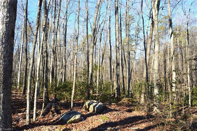 118 acres - Hanging Rock Park Road, Danbury, NC 27016