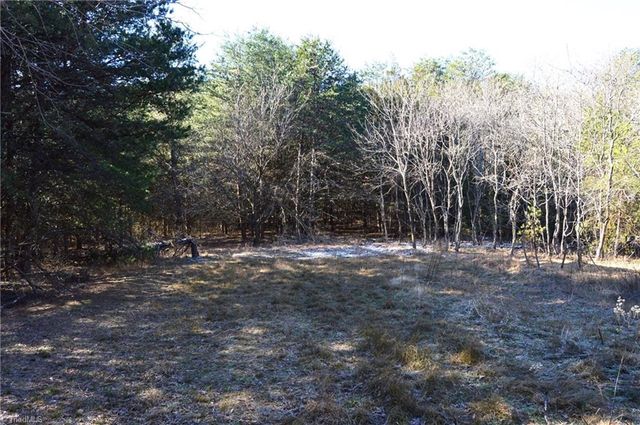 118 acres - Hanging Rock Park Road, Danbury, NC 27016