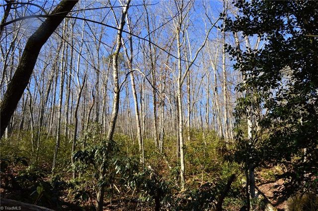 118 acres - Hanging Rock Park Road, Danbury, NC 27016