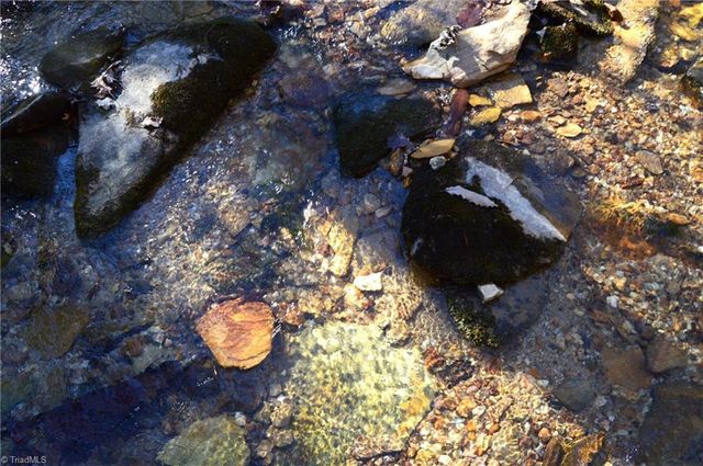 118 acres - Hanging Rock Park Road, Danbury, NC 27016