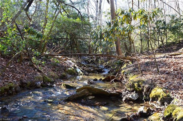 118 acres - Hanging Rock Park Road, Danbury, NC 27016