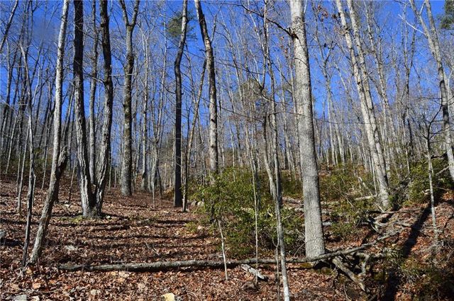 118 acres - Hanging Rock Park Road, Danbury, NC 27016